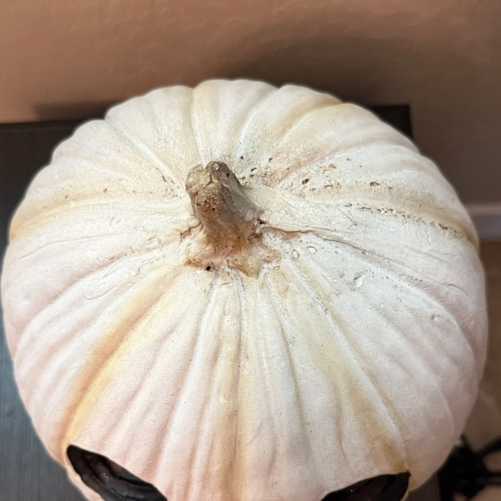 White Pumpkin Halloween Decor - Picture 7 of 12